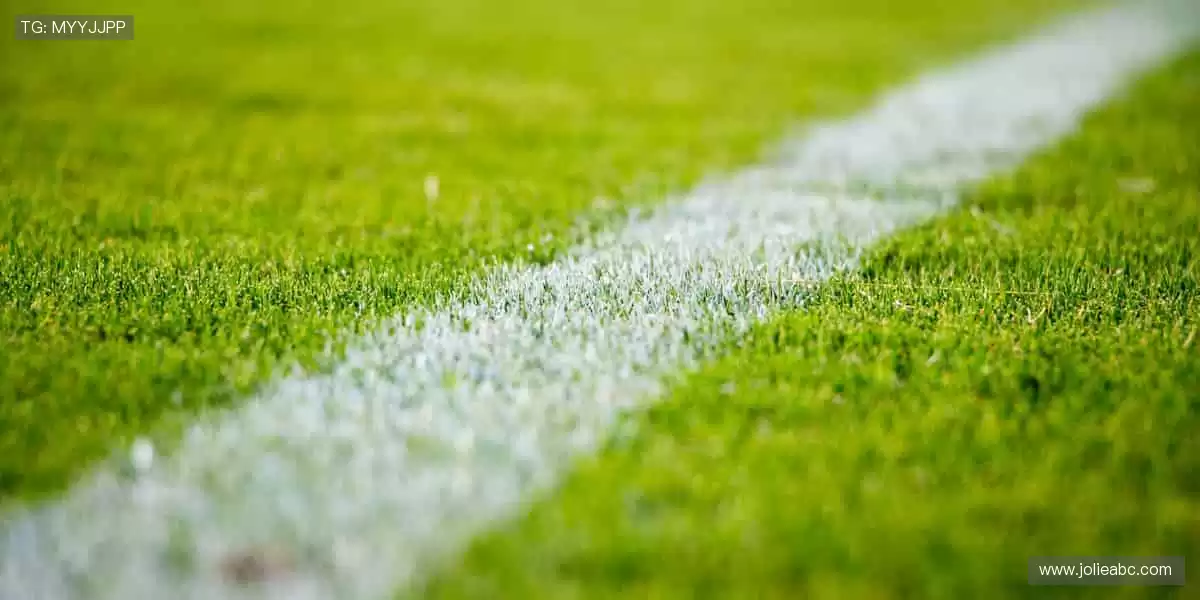 用装备定义实力，让每个动作都无可挑剔！🎾